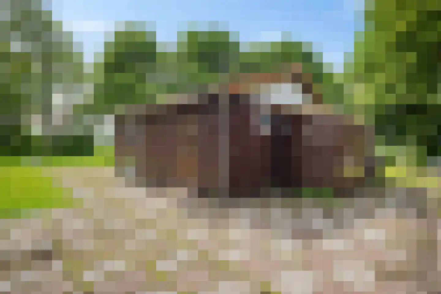 Raadhuisstraat 27 h111 Dirkshorn thumbnail 28