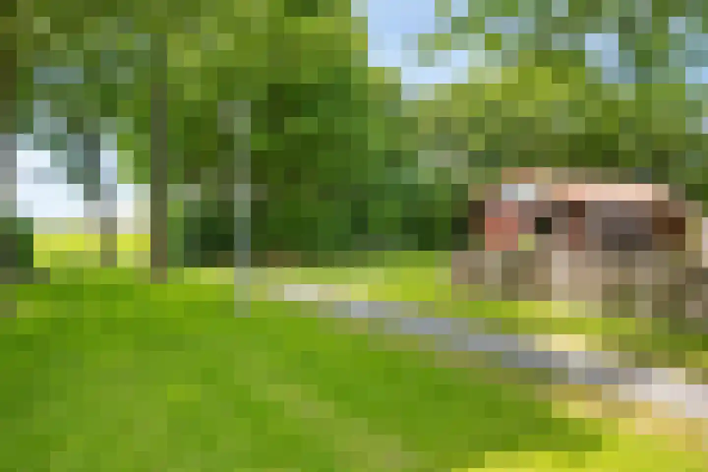 Raadhuisstraat 27 h111 Dirkshorn thumbnail 31