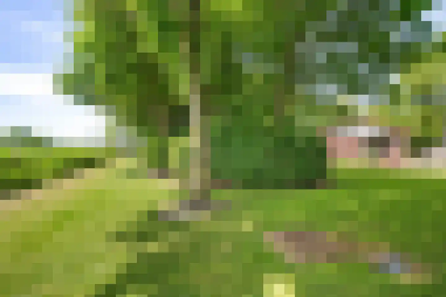 Raadhuisstraat 27 h111 Dirkshorn thumbnail 34