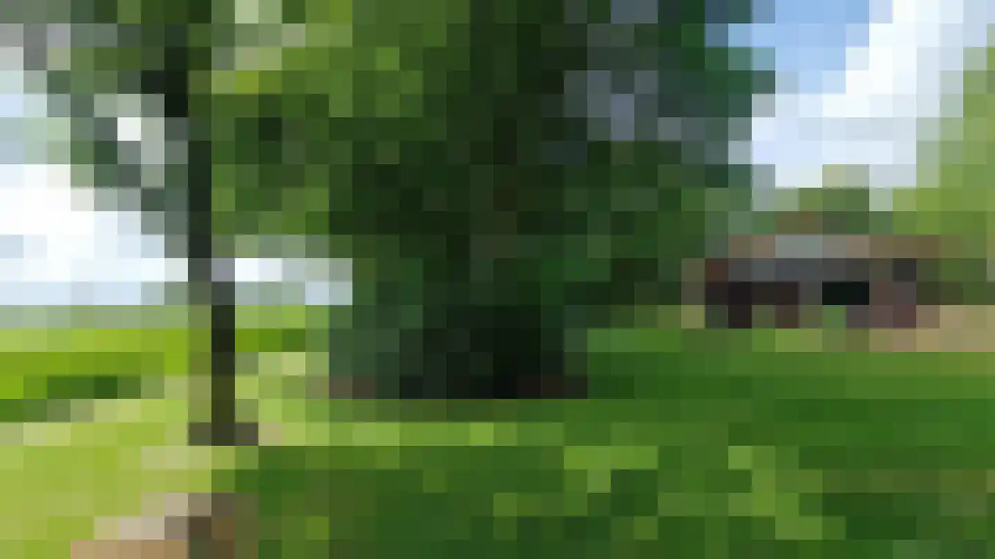 Raadhuisstraat 27 h111 Dirkshorn thumbnail 5