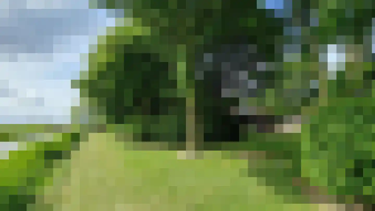 Raadhuisstraat 27 h111 Dirkshorn thumbnail 6