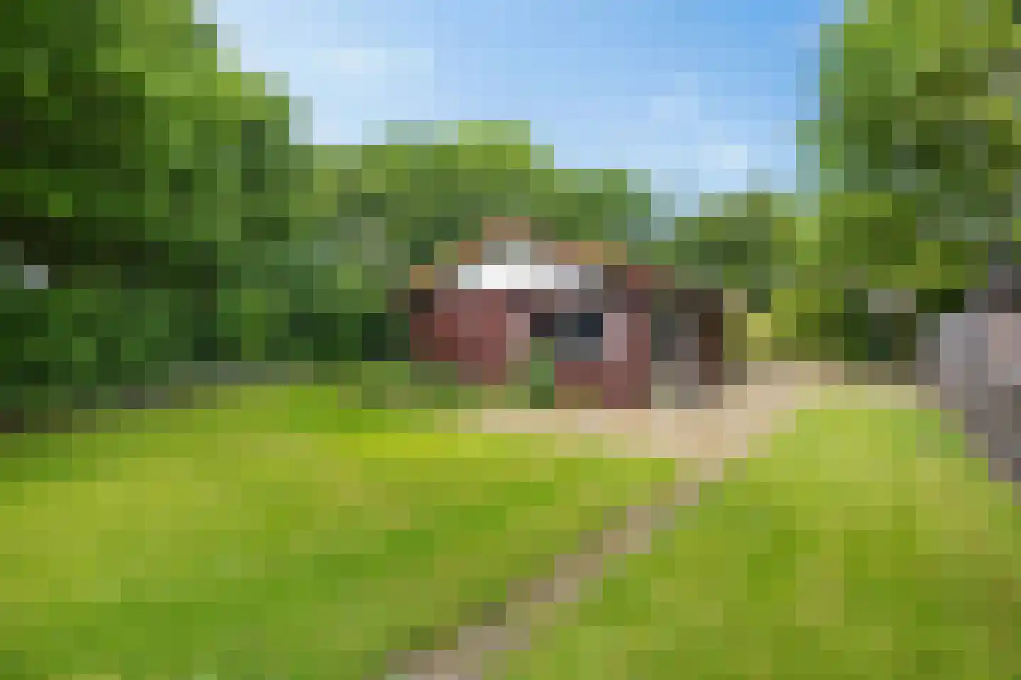 Raadhuisstraat 27 h111 Dirkshorn thumbnail 6
