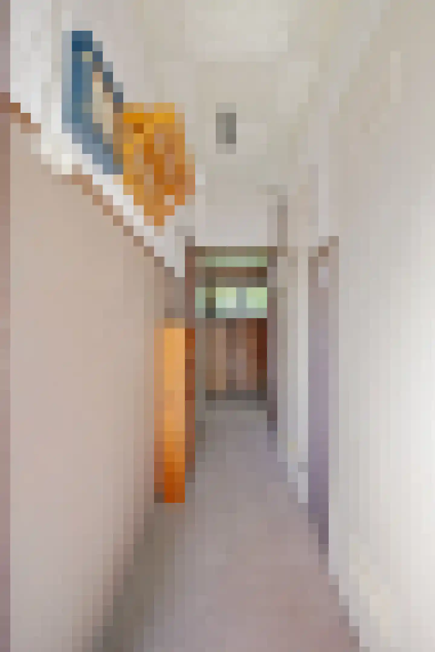 Raadhuisstraat 27 h111 Dirkshorn thumbnail 9