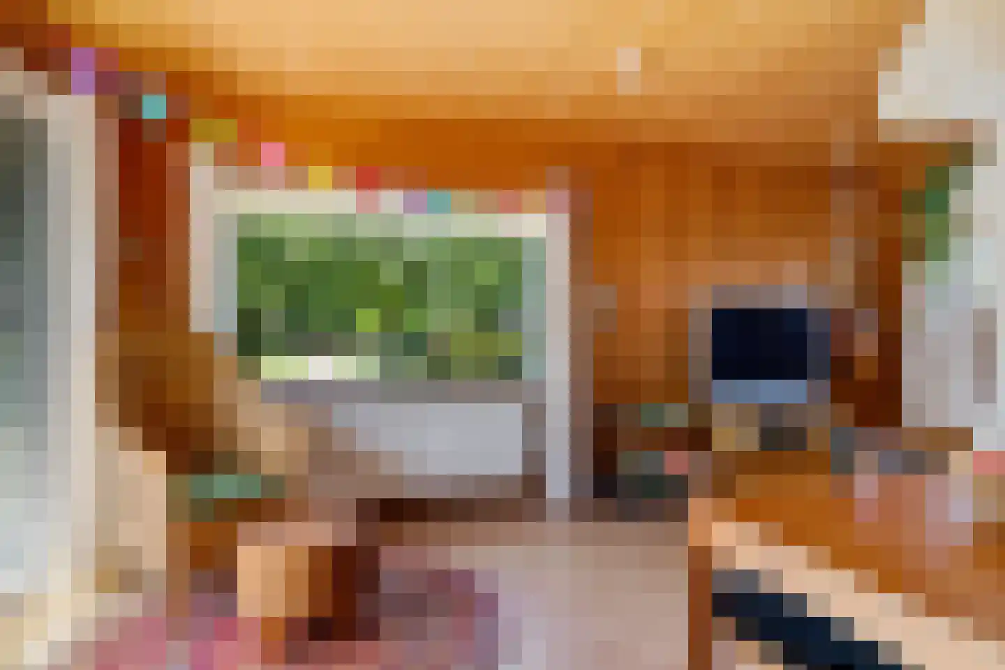 Raadhuisstraat 27 h117 Dirkshorn thumbnail 13
