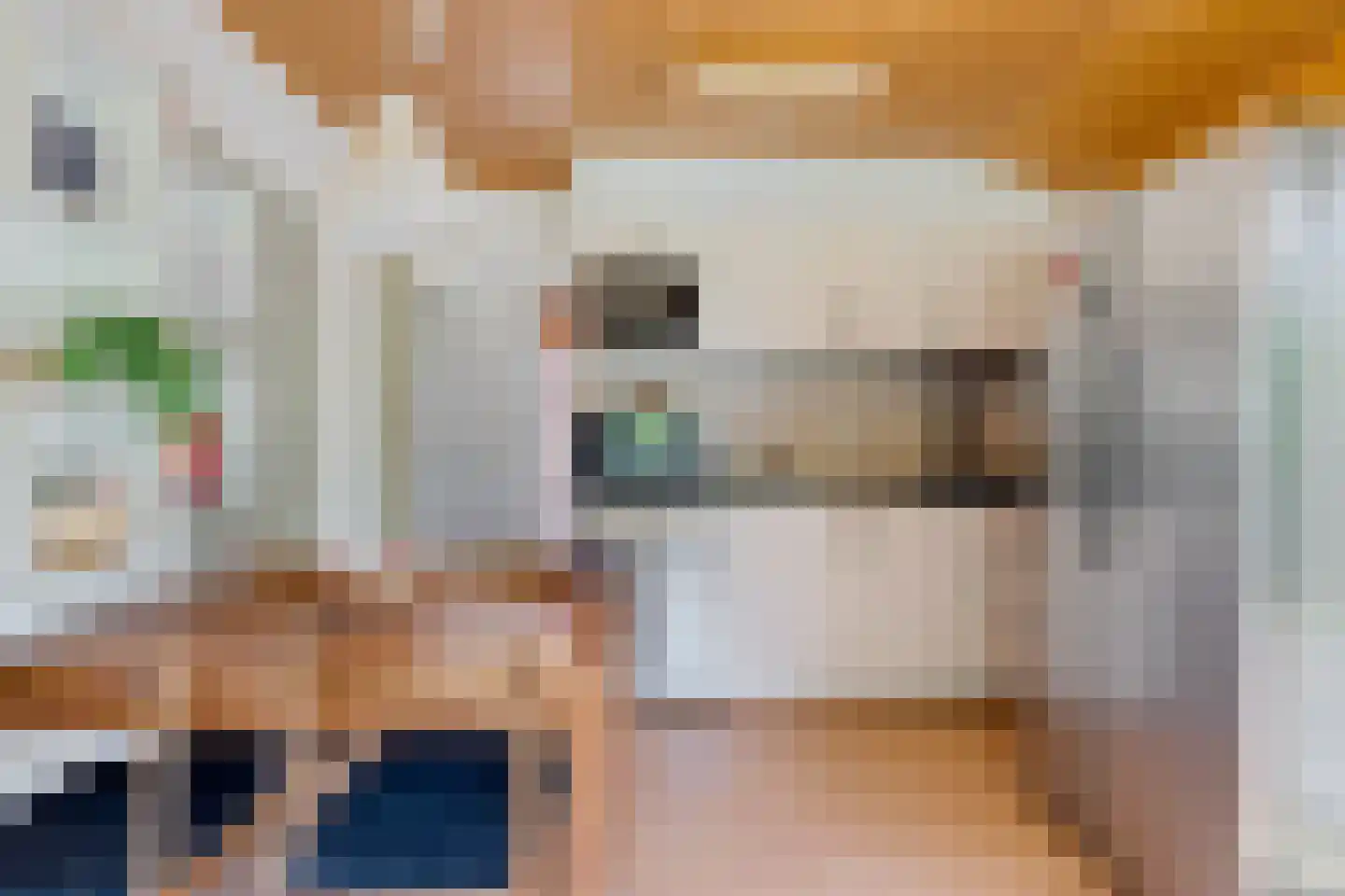 Raadhuisstraat 27 h117 Dirkshorn thumbnail 15
