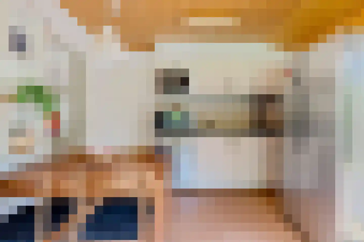 Raadhuisstraat 27 h117 Dirkshorn thumbnail 17