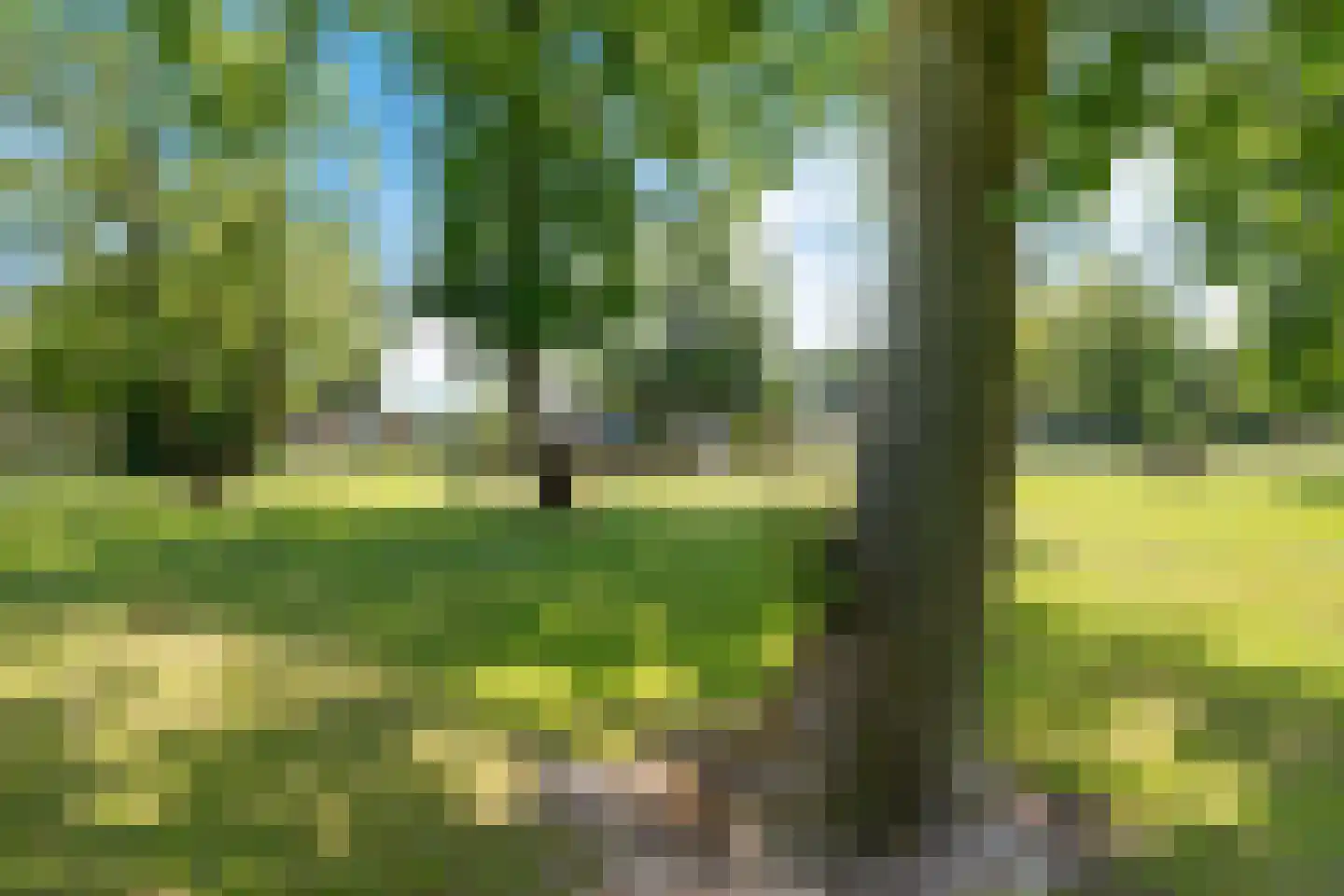 Raadhuisstraat 27 h117 Dirkshorn thumbnail 36