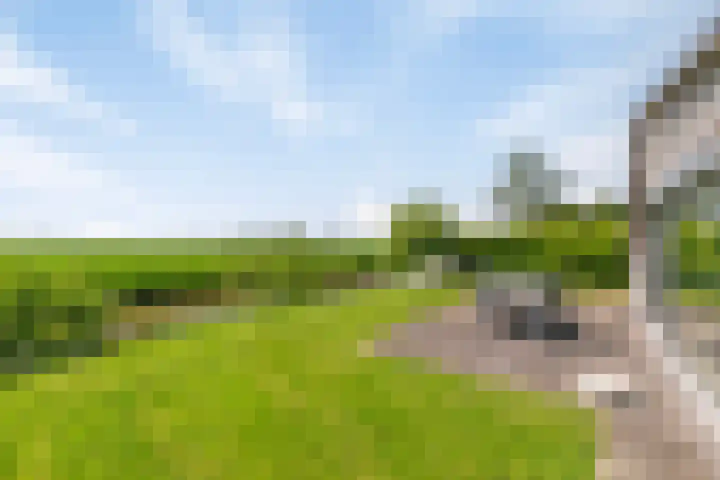 Raadhuisstraat 27 h132 Dirkshorn thumbnail 27