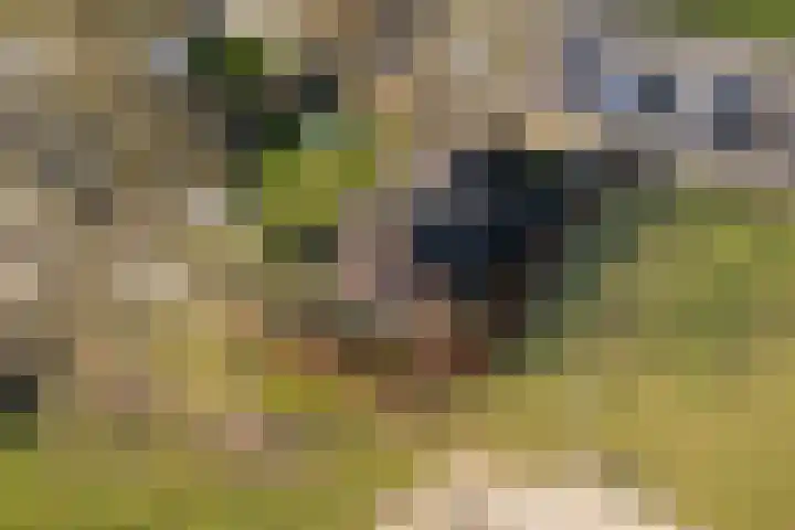 Raadhuisstraat 27 h18 in Dirkshorn