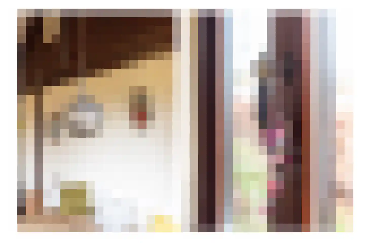Raadhuisstraat 27 h18 Dirkshorn thumbnail 10