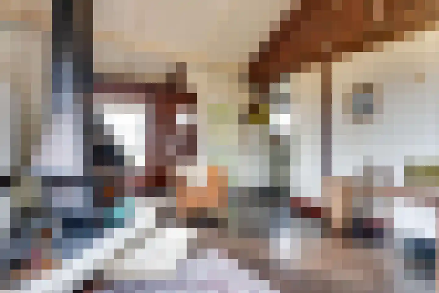 Raadhuisstraat 27 h18 Dirkshorn thumbnail 11