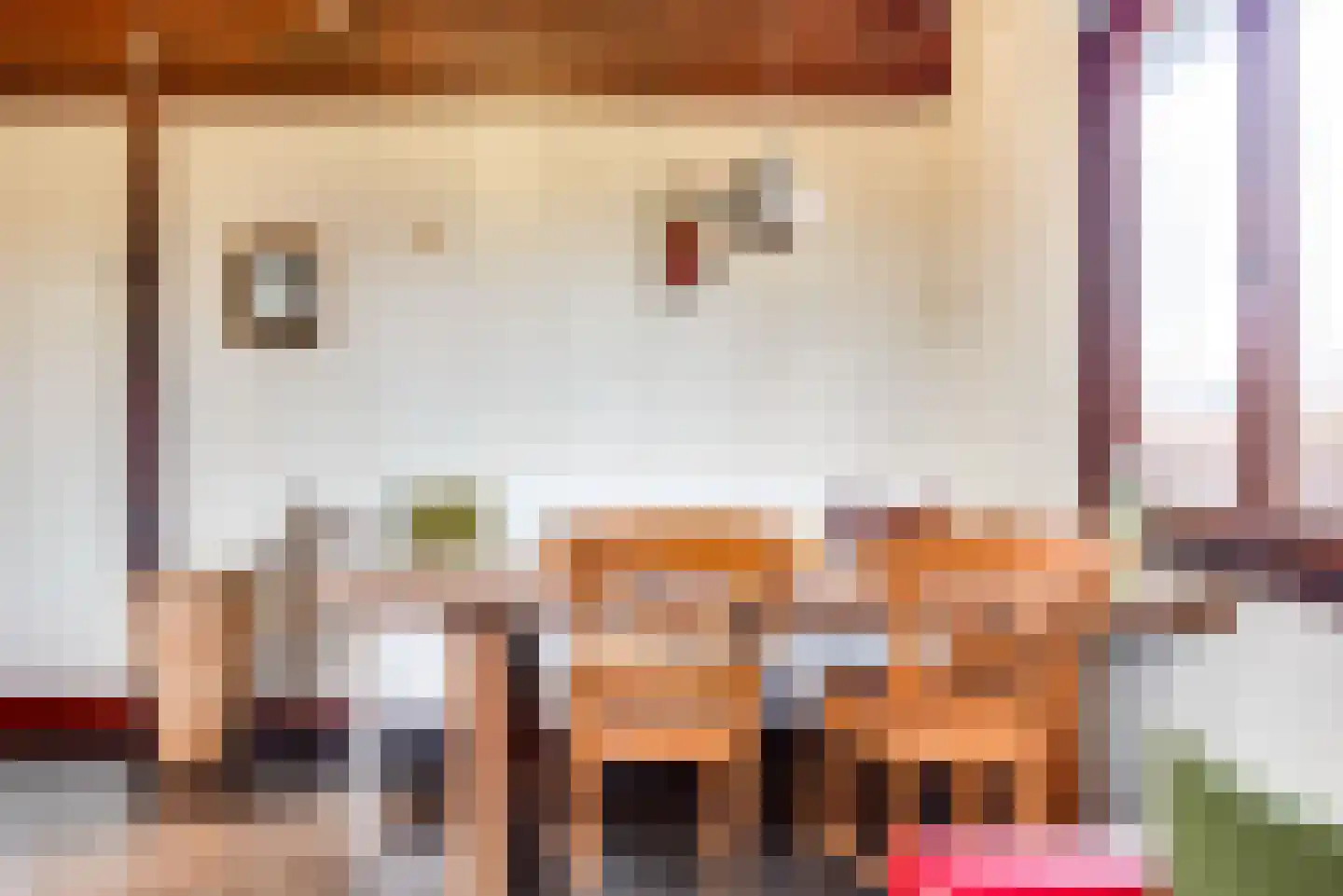 Raadhuisstraat 27 h18 Dirkshorn thumbnail 12