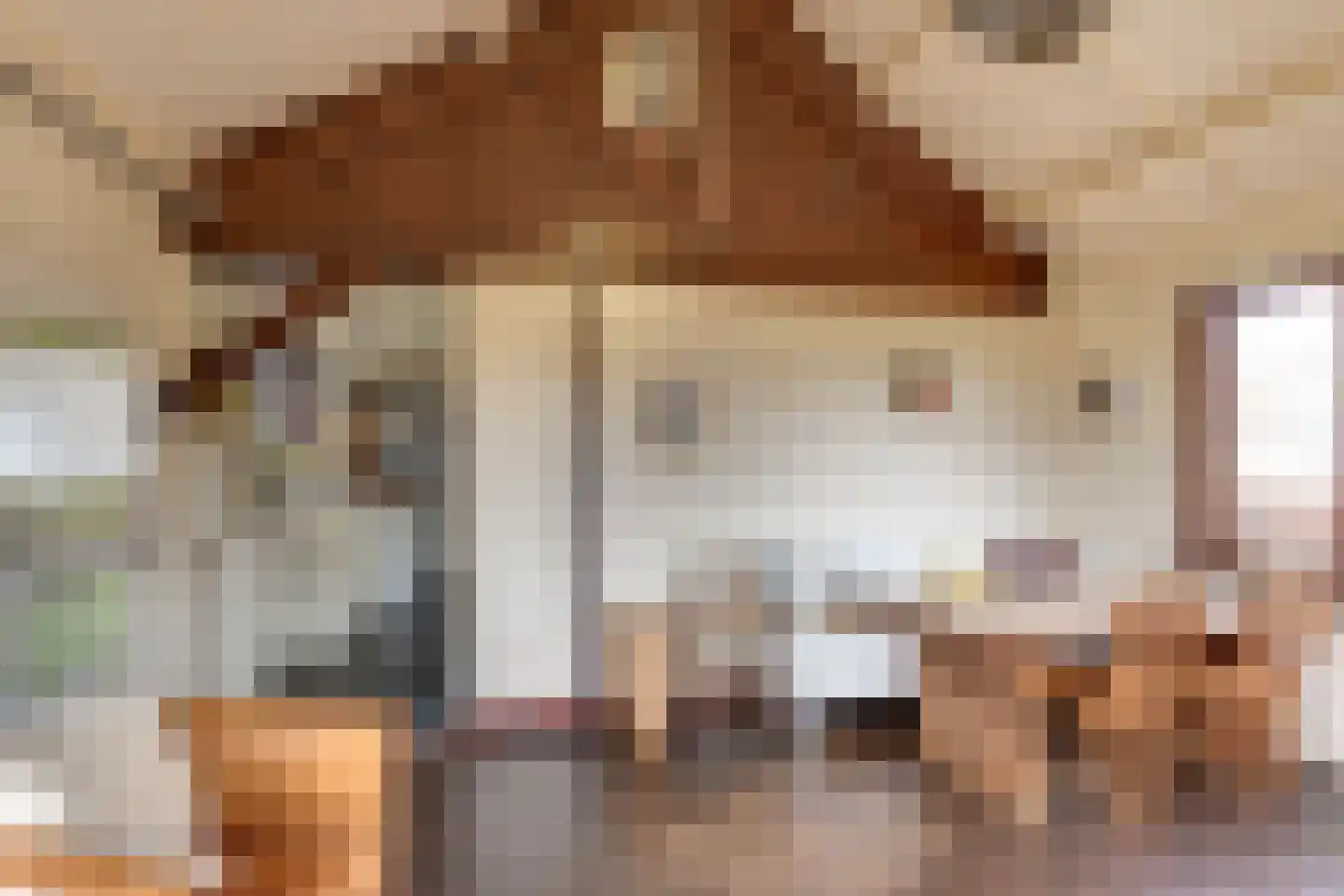 Raadhuisstraat 27 h18 Dirkshorn thumbnail 14