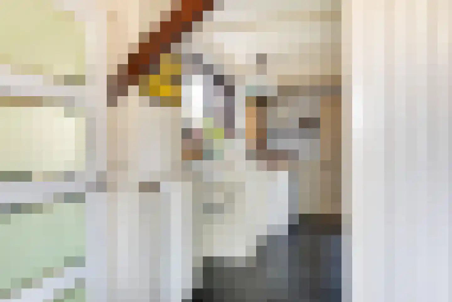 Raadhuisstraat 27 h18 Dirkshorn thumbnail 15