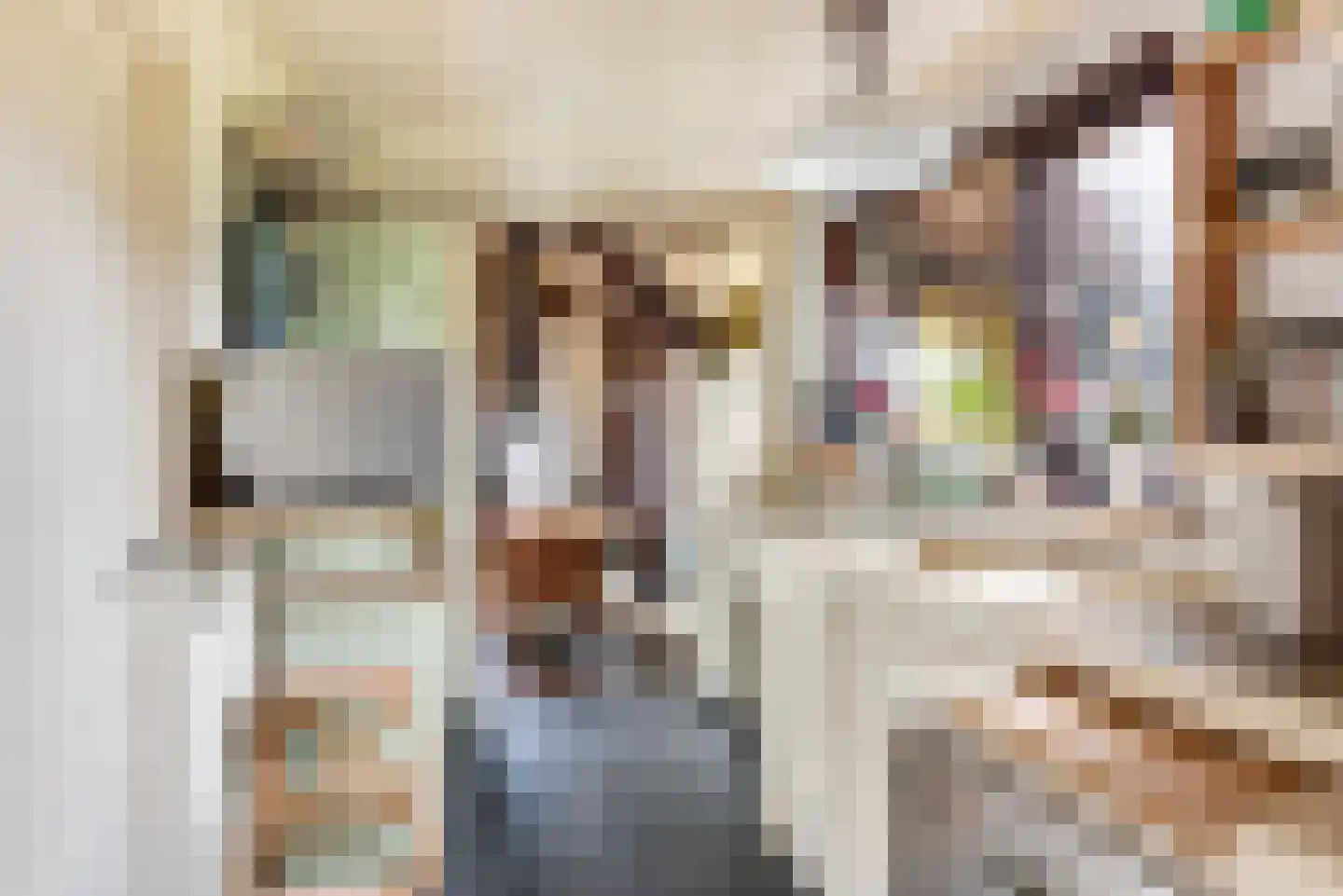 Raadhuisstraat 27 h18 Dirkshorn thumbnail 17