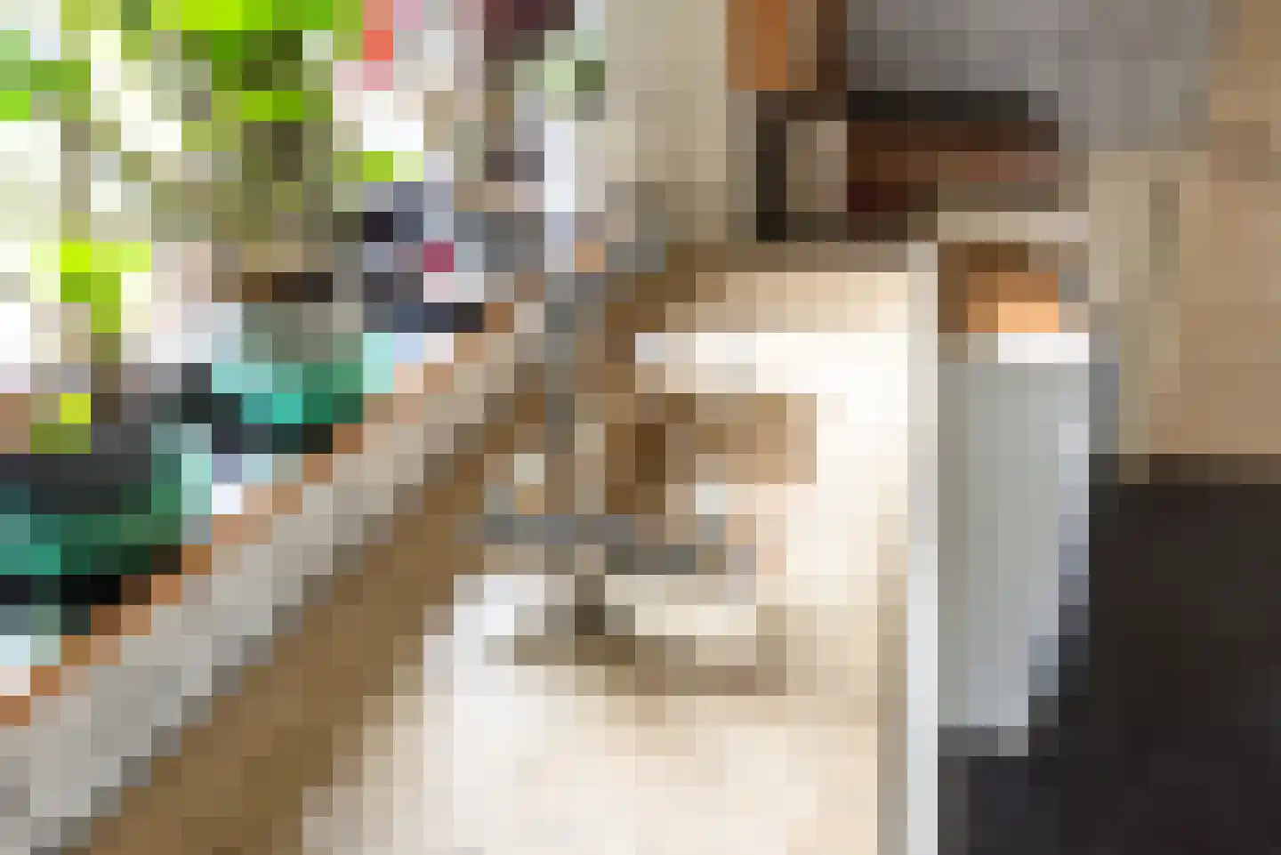 Raadhuisstraat 27 h18 Dirkshorn thumbnail 18
