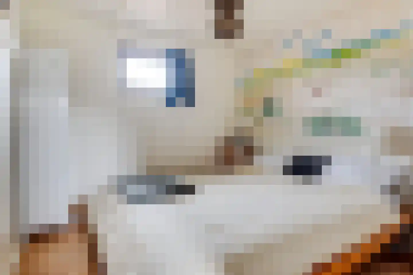 Raadhuisstraat 27 h18 Dirkshorn thumbnail 19