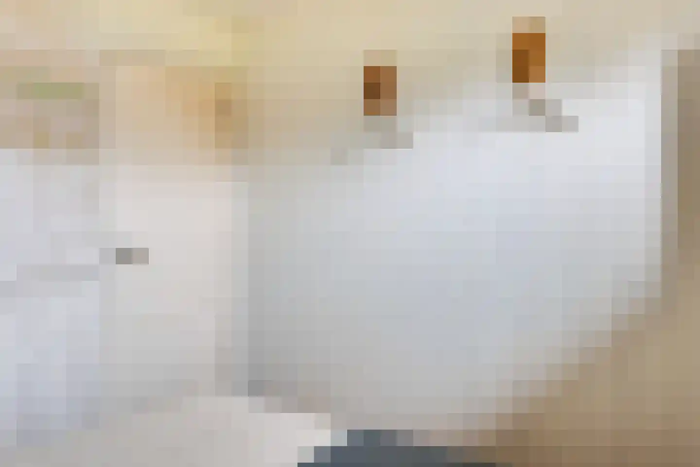 Raadhuisstraat 27 h18 Dirkshorn thumbnail 21