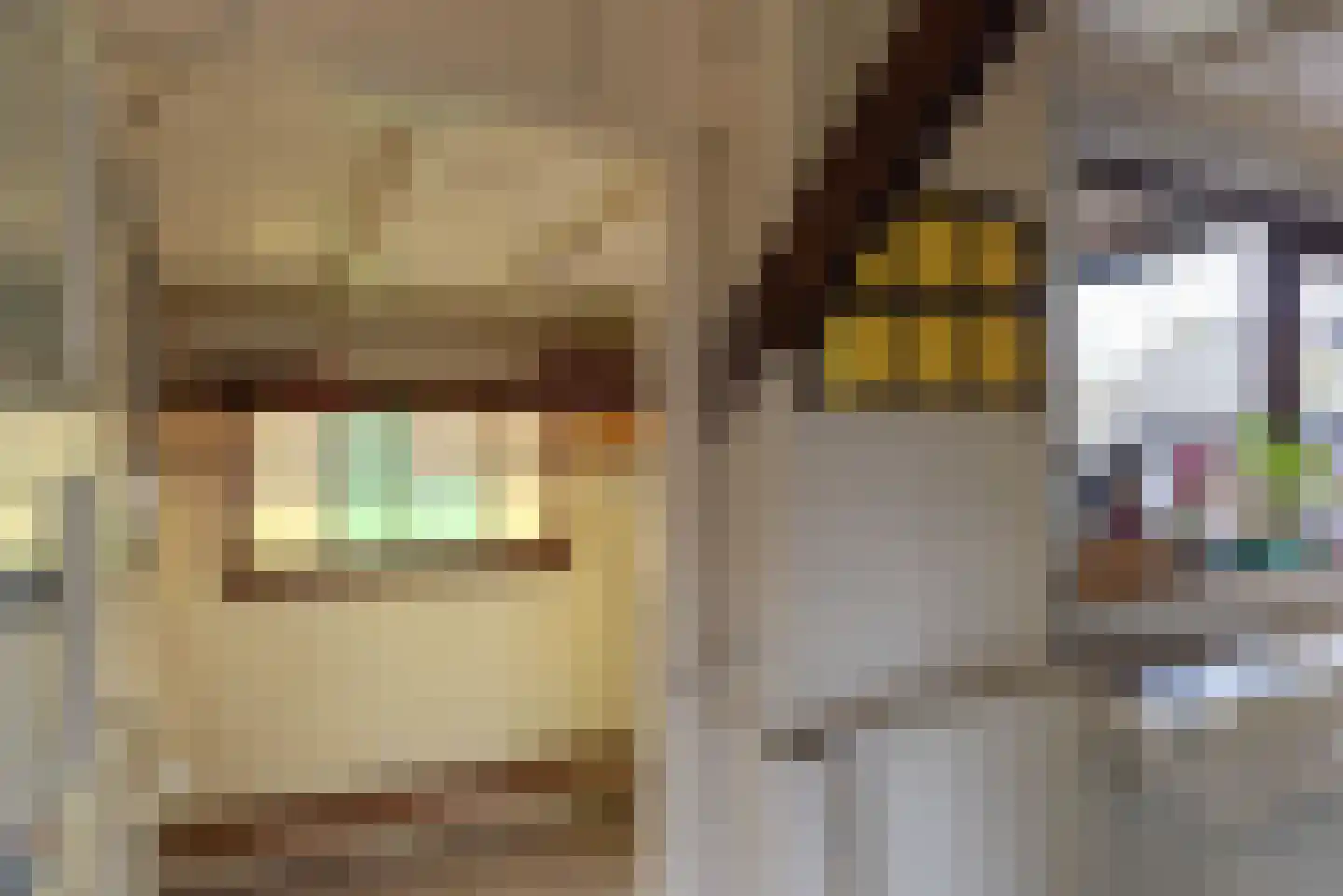 Raadhuisstraat 27 h18 Dirkshorn thumbnail 24