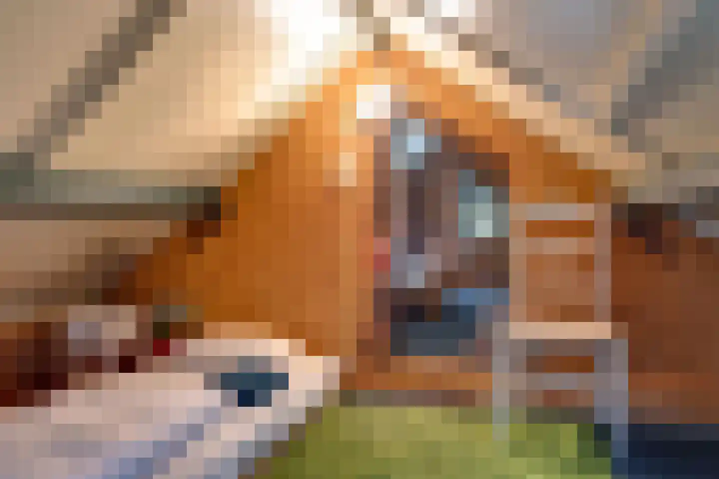 Raadhuisstraat 27 h18 Dirkshorn thumbnail 28
