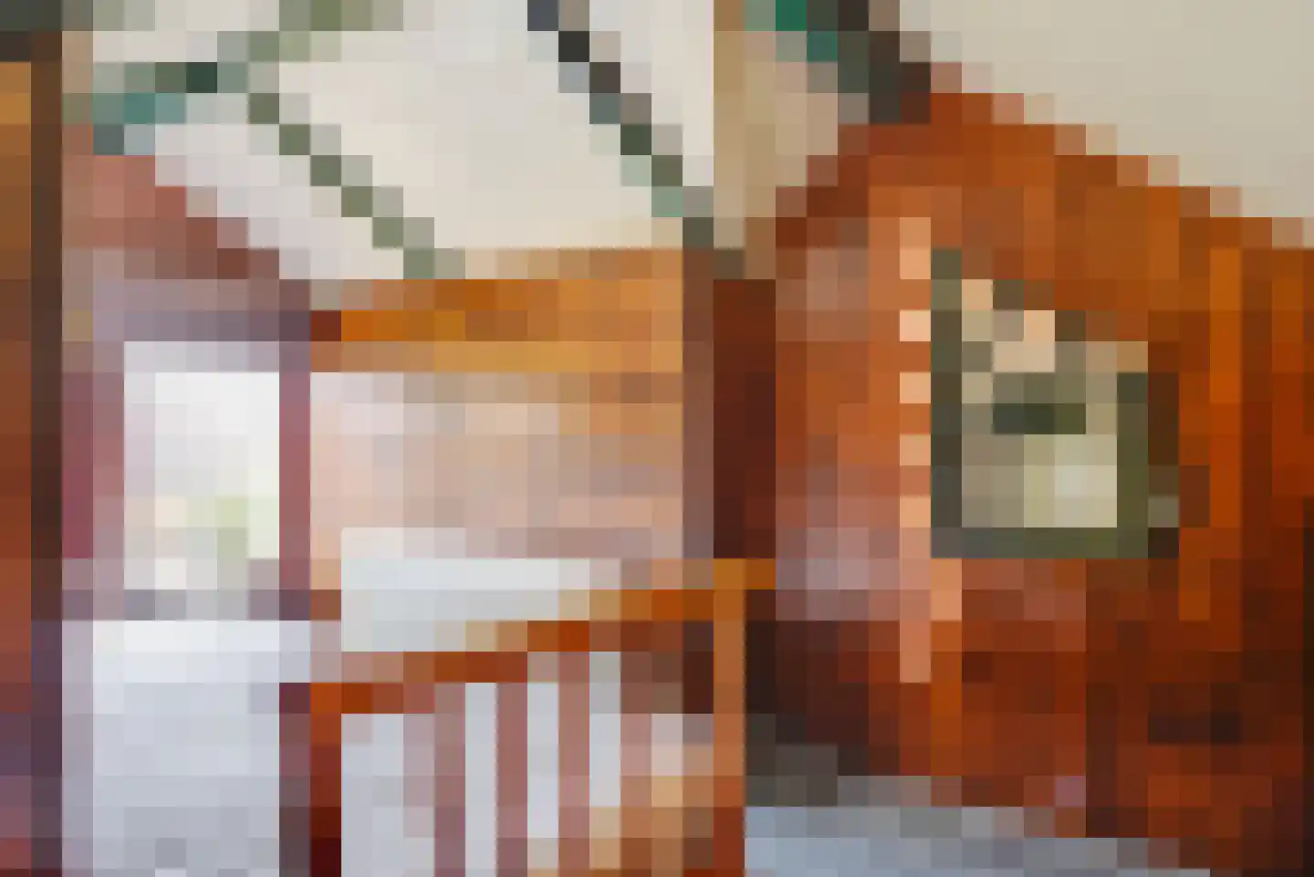 Raadhuisstraat 27 h18 Dirkshorn thumbnail 30
