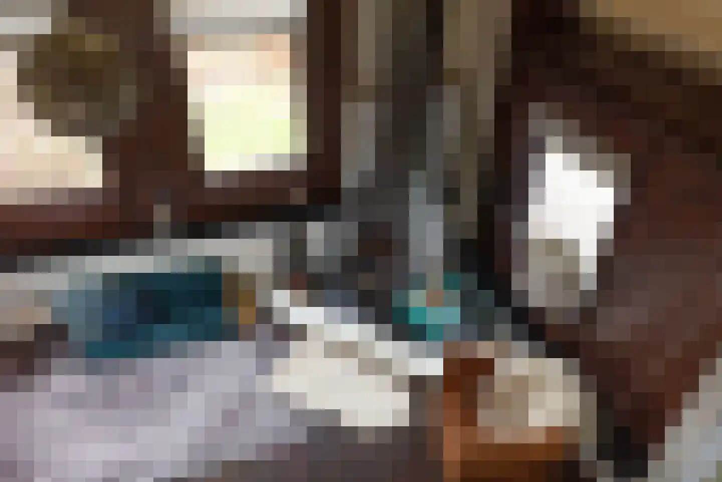 Raadhuisstraat 27 h18 Dirkshorn thumbnail 32