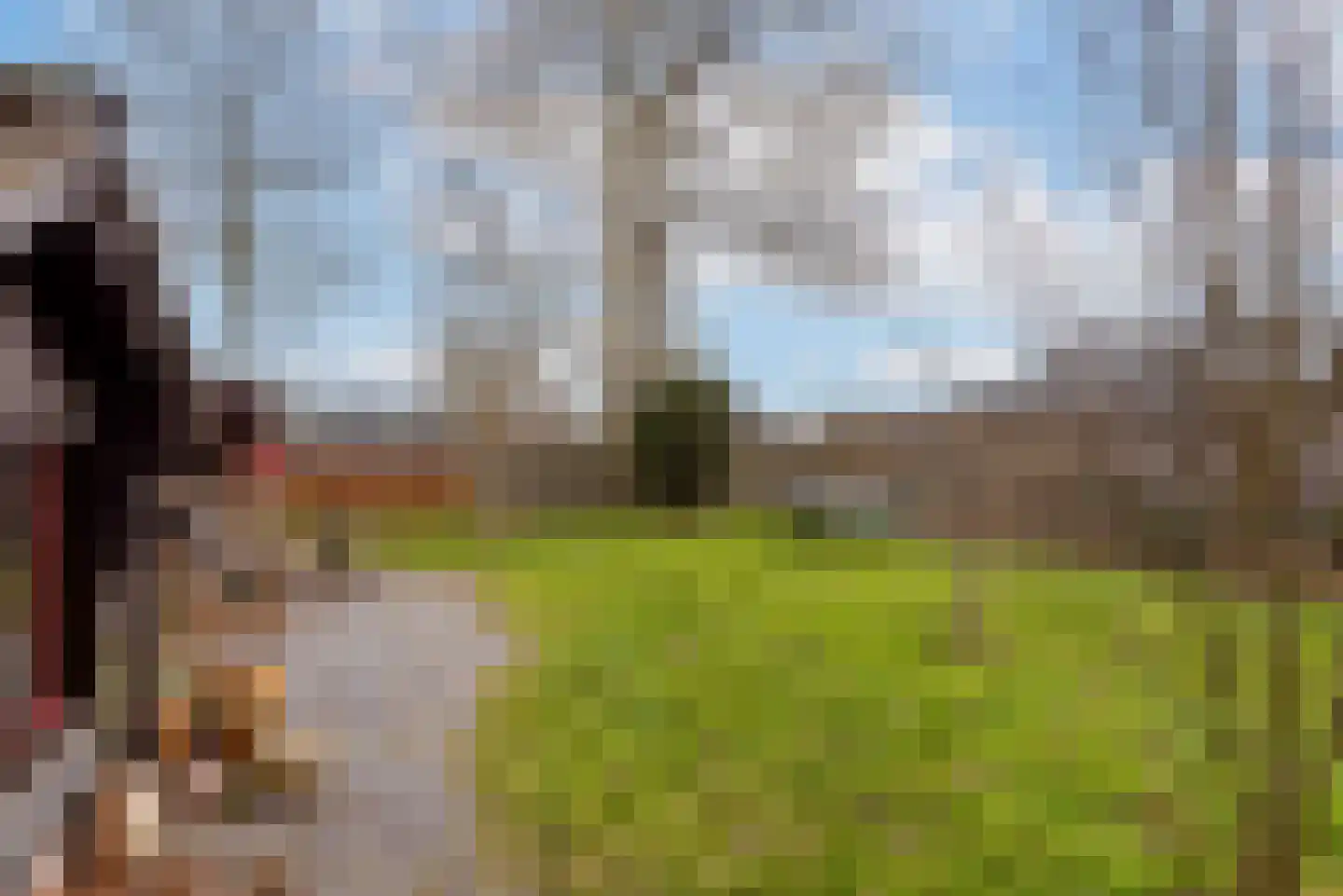 Raadhuisstraat 27 h18 Dirkshorn thumbnail 36