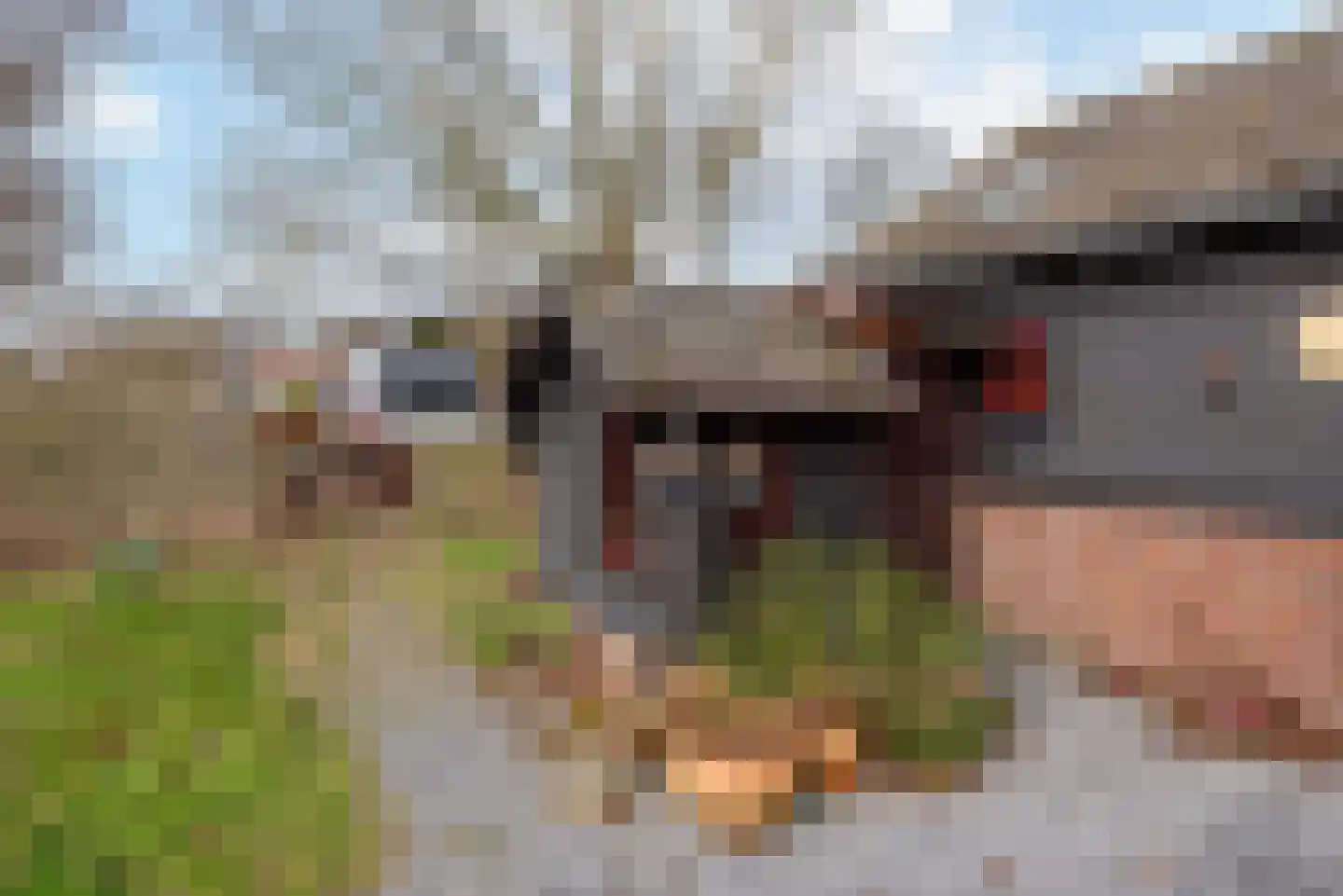 Raadhuisstraat 27 h18 Dirkshorn thumbnail 37