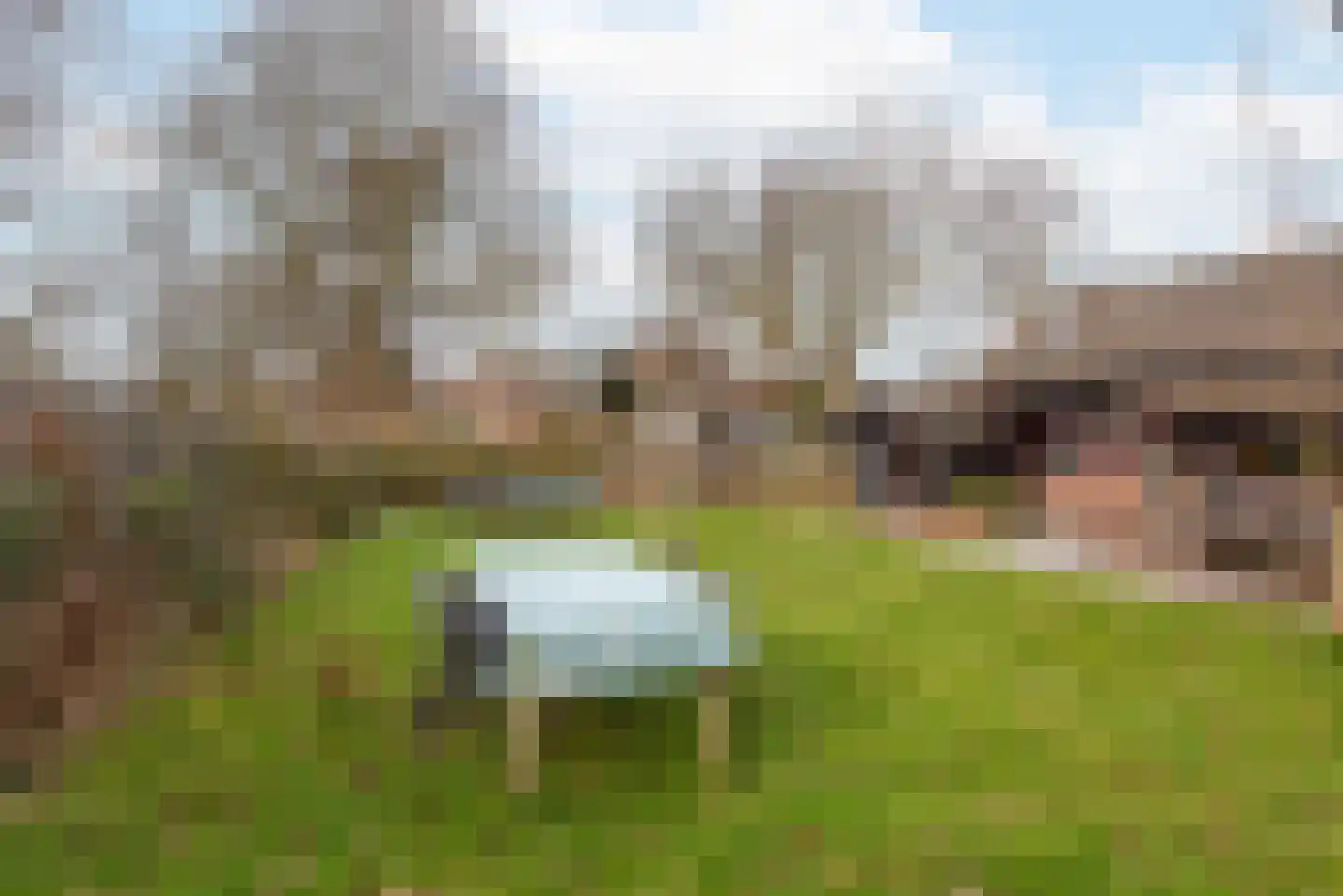 Raadhuisstraat 27 h18 Dirkshorn thumbnail 38