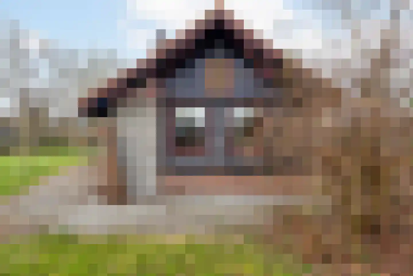 Raadhuisstraat 27 h18 Dirkshorn thumbnail 39