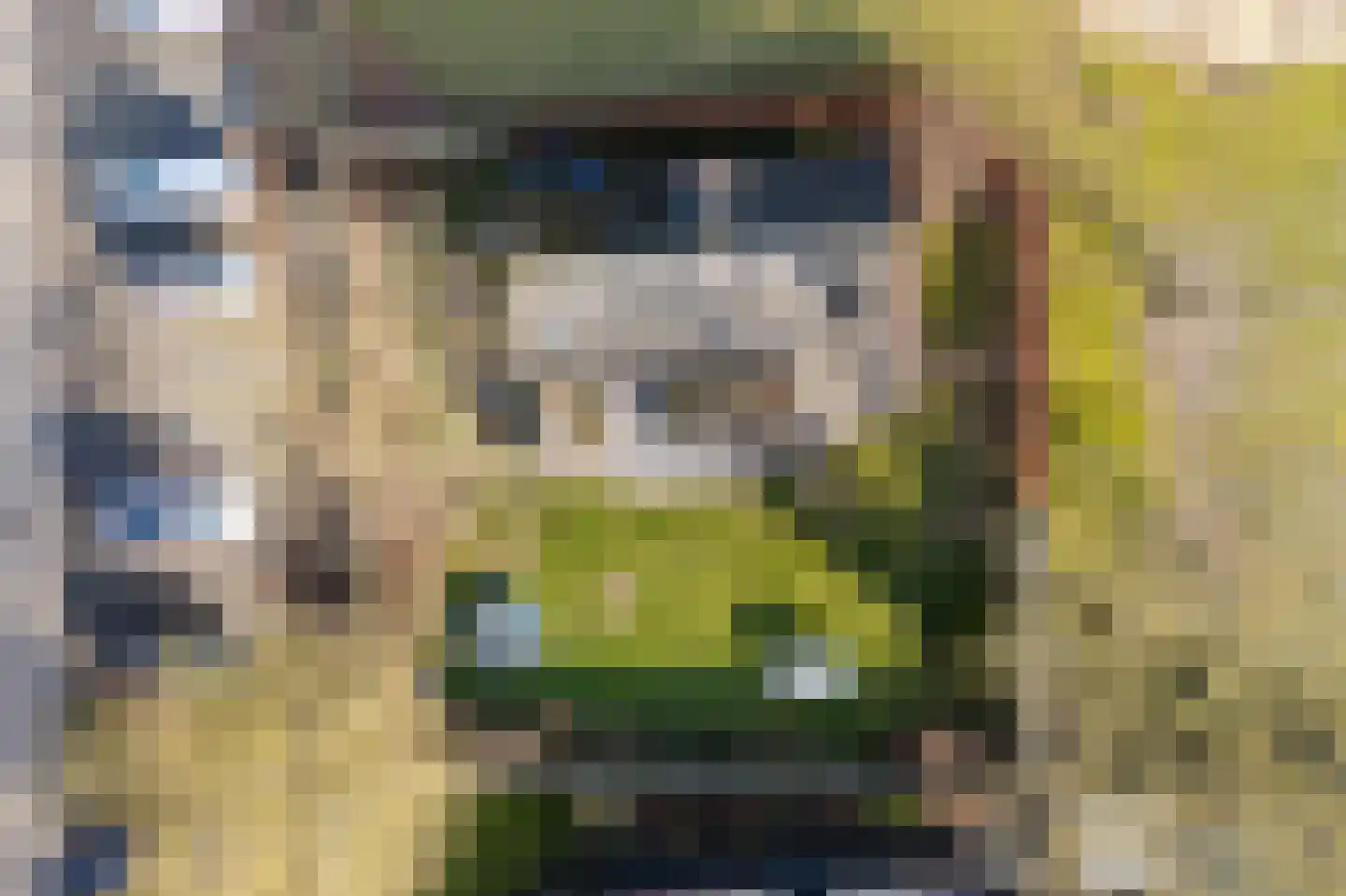 Raadhuisstraat 27 h18 Dirkshorn thumbnail 41