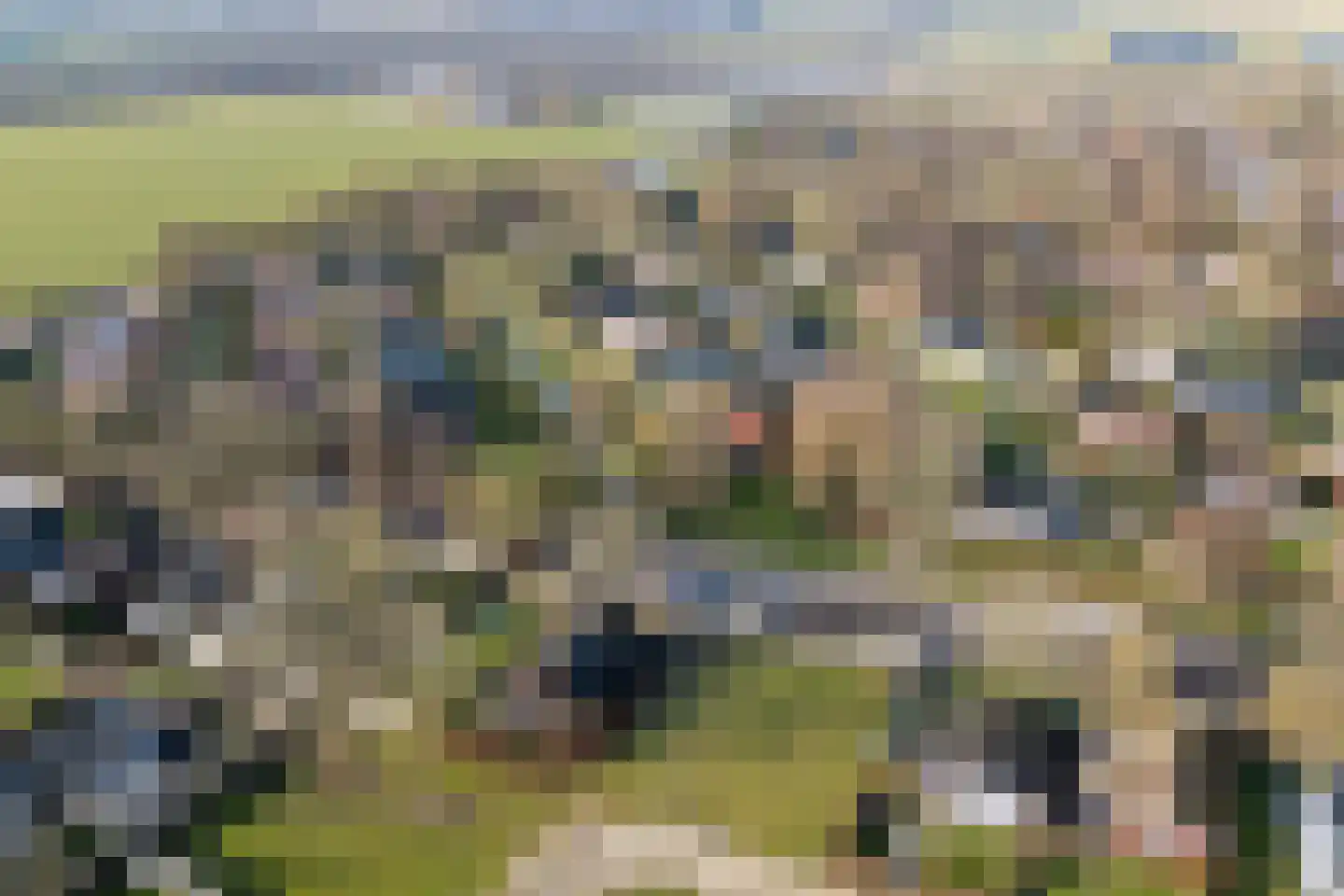 Raadhuisstraat 27 h18 Dirkshorn thumbnail 42