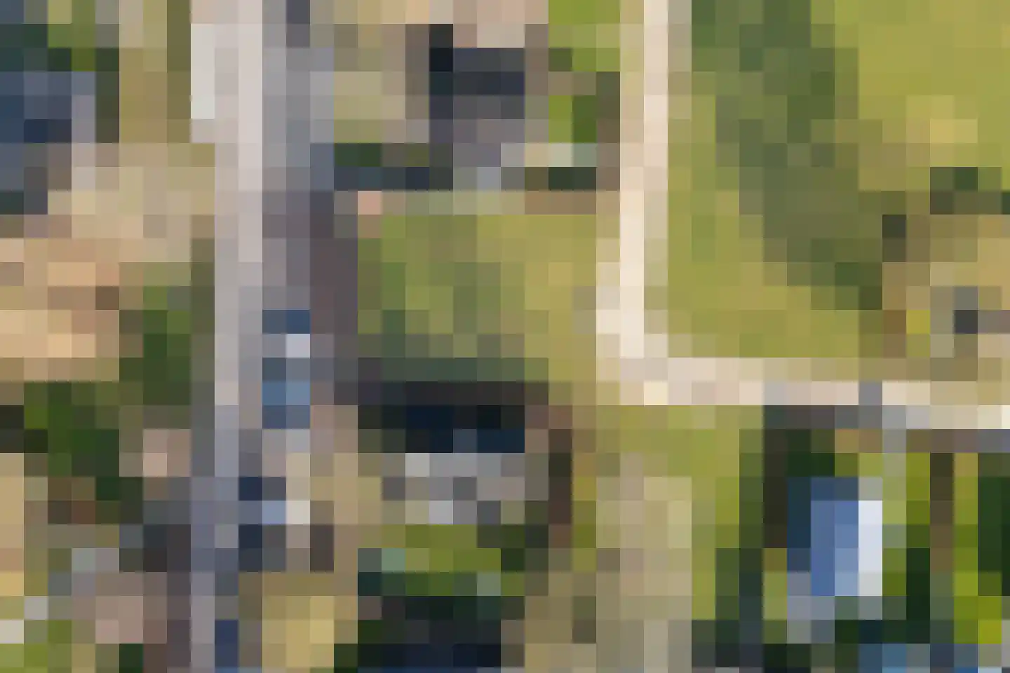 Raadhuisstraat 27 h18 Dirkshorn thumbnail 43