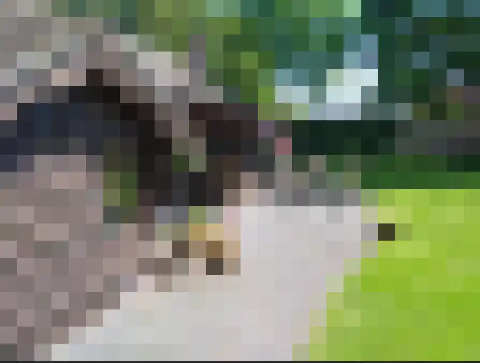 Raadhuisstraat 27 h18 Dirkshorn thumbnail 44