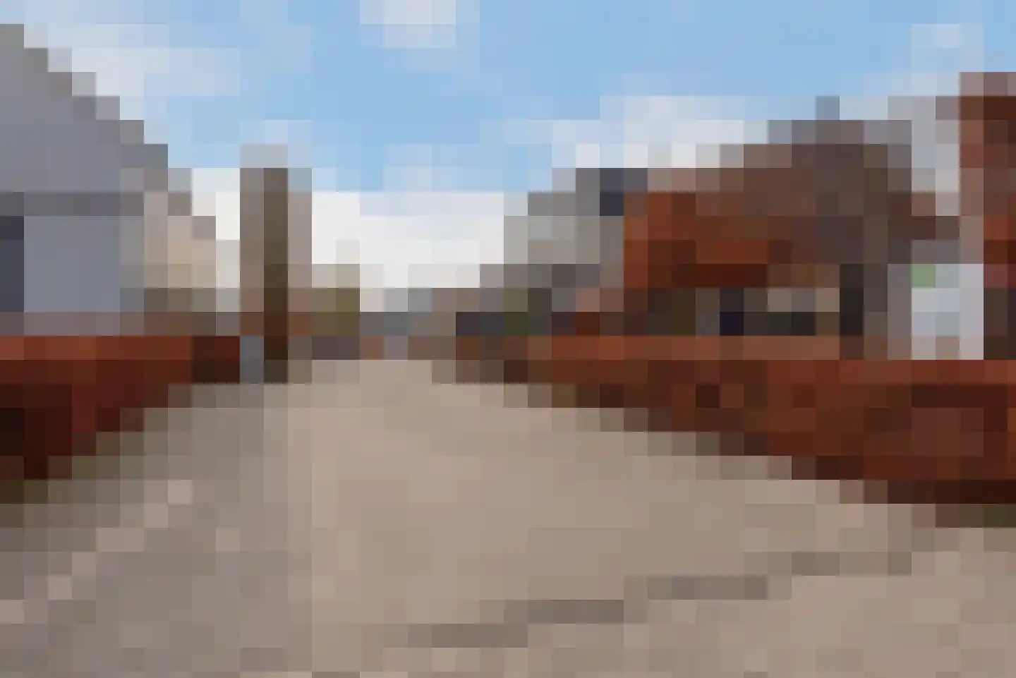 Raadhuisstraat 27 h18 Dirkshorn thumbnail 48