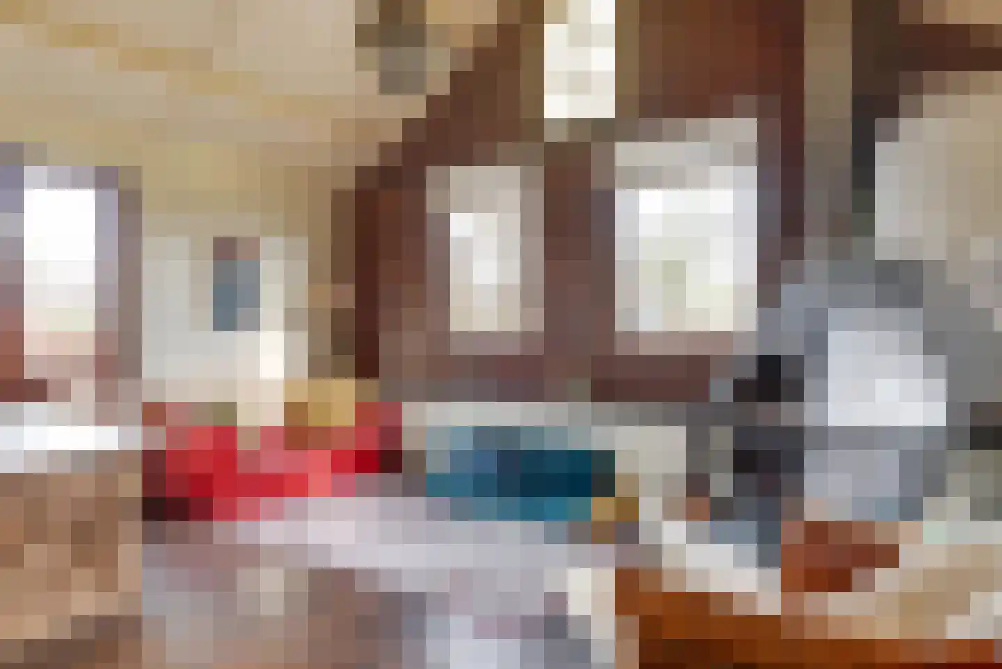 Raadhuisstraat 27 h18 Dirkshorn thumbnail 6