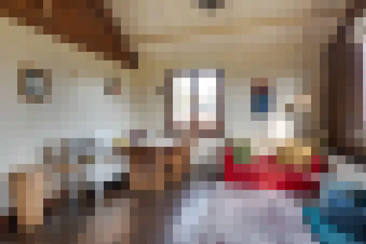 Raadhuisstraat 27 h18 Dirkshorn thumbnail 7