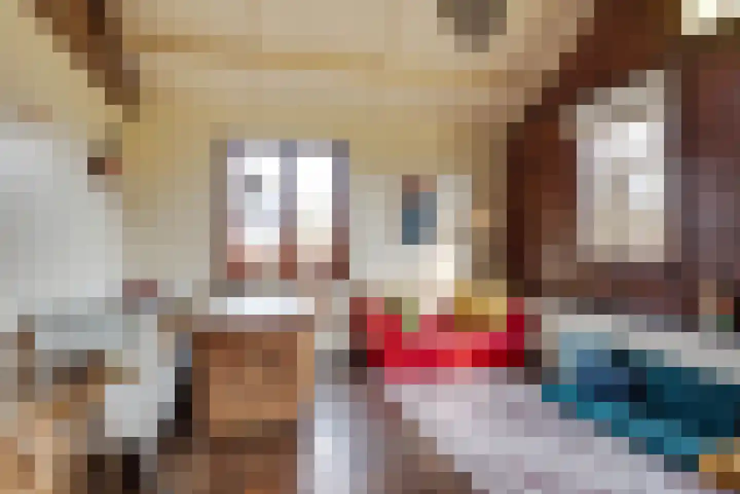Raadhuisstraat 27 h18 Dirkshorn thumbnail 9