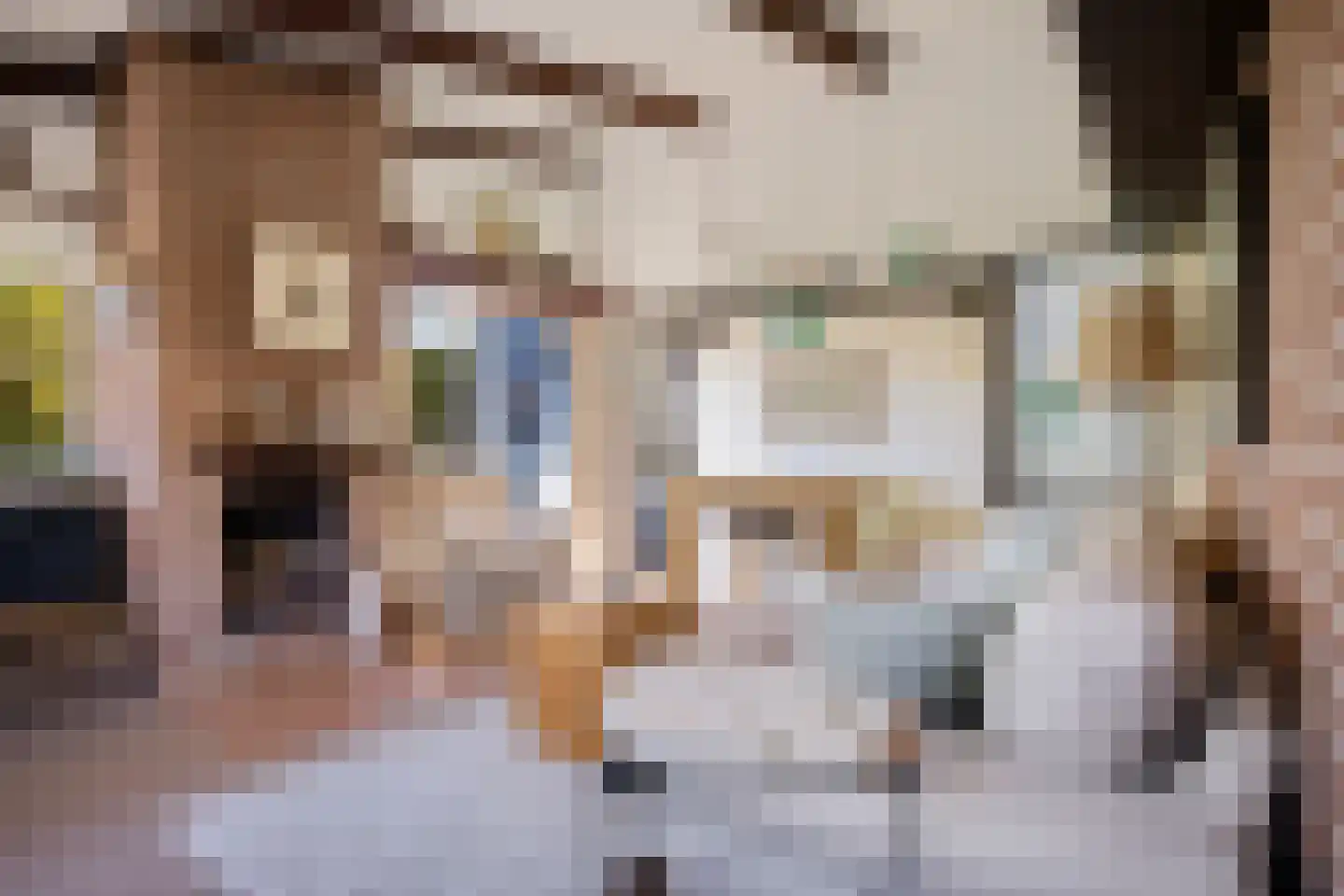 Raadhuisstraat 27 h68 Dirkshorn thumbnail 10