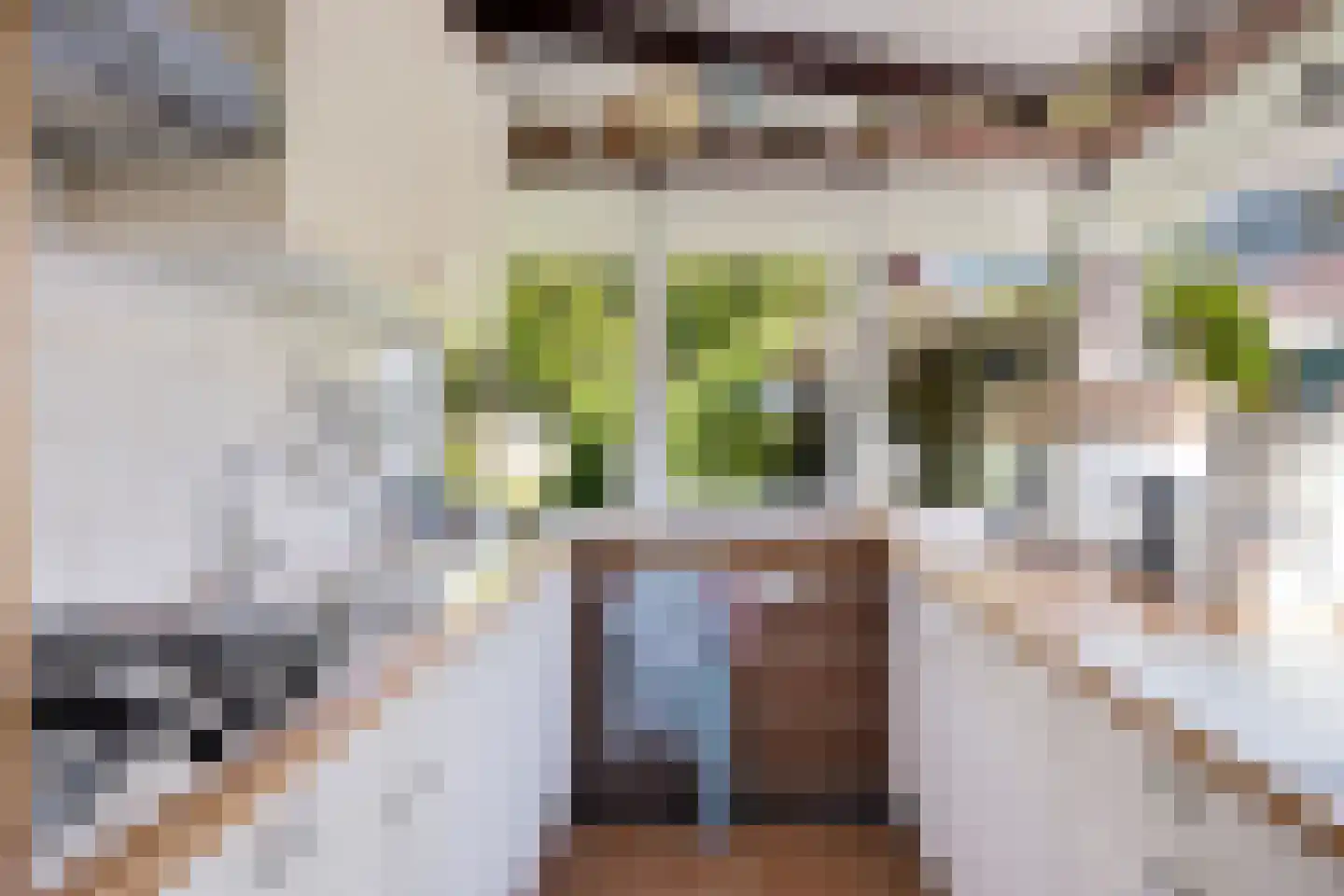Raadhuisstraat 27 h68 Dirkshorn thumbnail 13