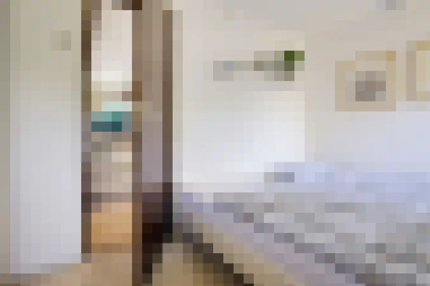 Raadhuisstraat 27 h68 Dirkshorn thumbnail 16