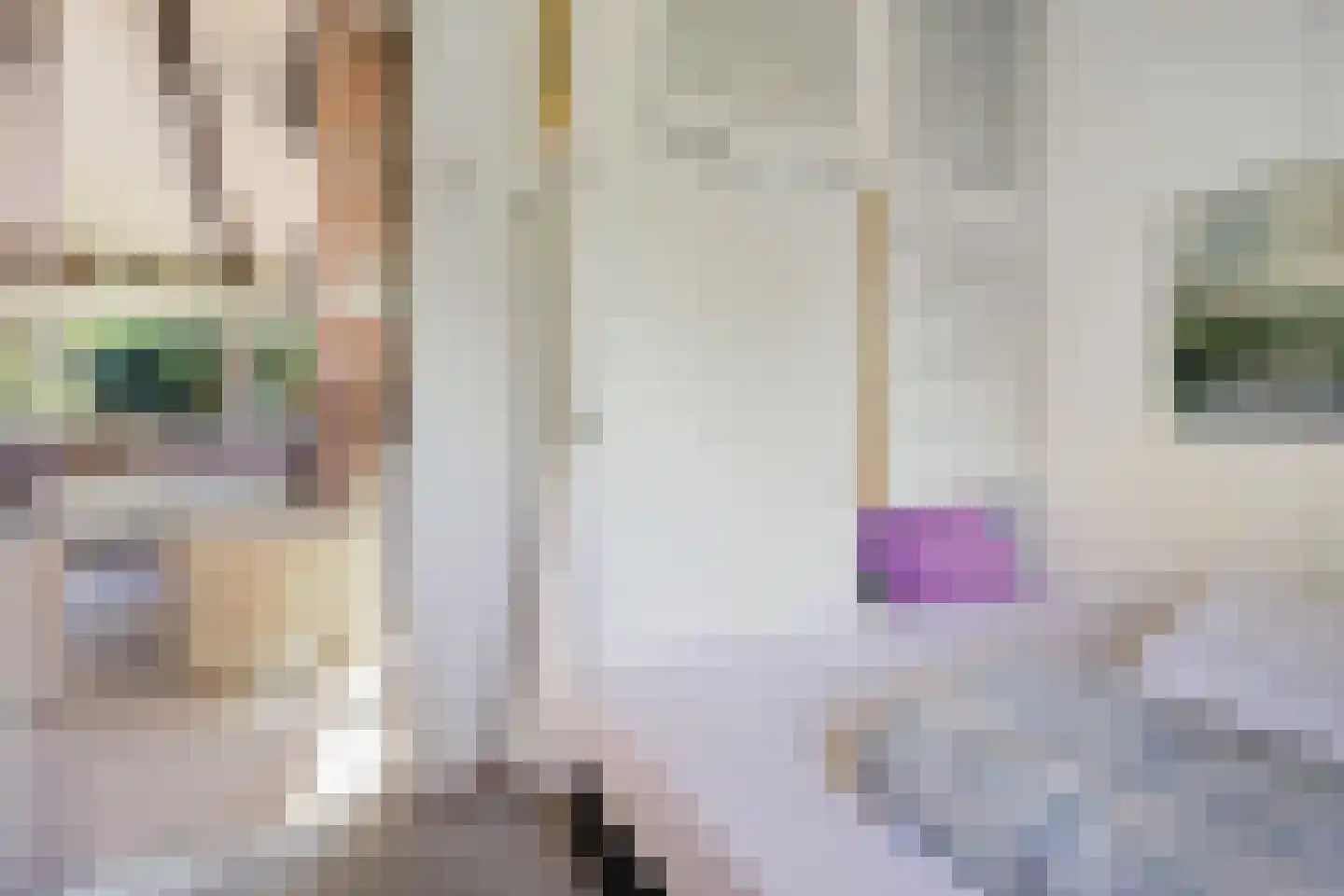 Raadhuisstraat 27 h68 Dirkshorn thumbnail 23