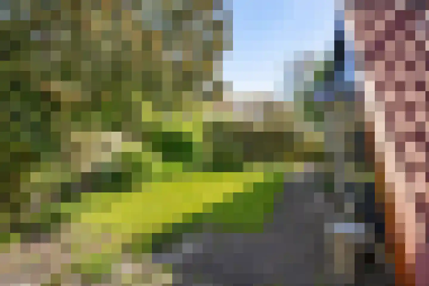 Raadhuisstraat 27 h68 Dirkshorn thumbnail 28