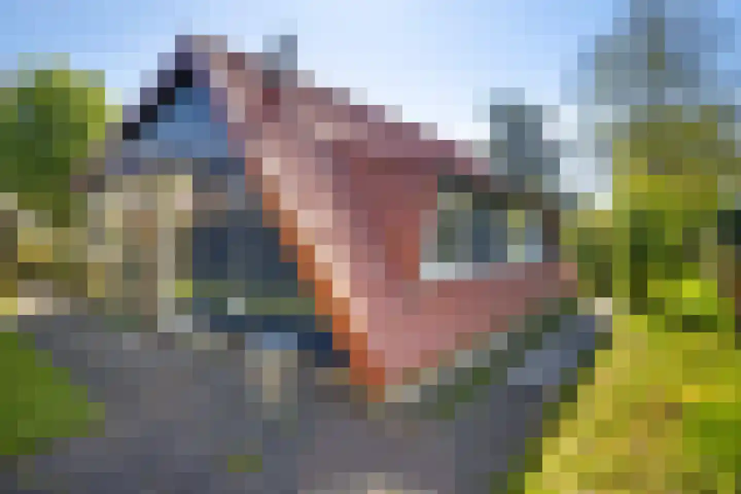 Raadhuisstraat 27 h68 Dirkshorn thumbnail 29