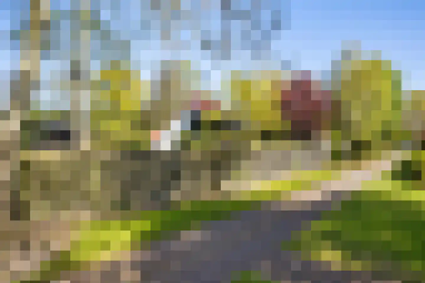 Raadhuisstraat 27 h68 Dirkshorn thumbnail 32