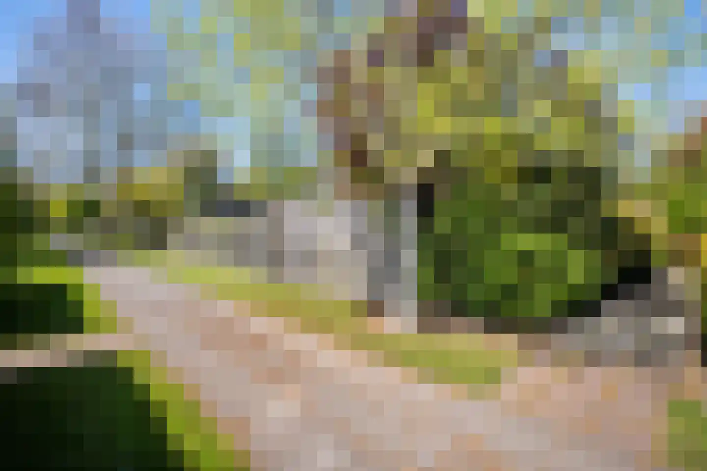 Raadhuisstraat 27 h68 Dirkshorn thumbnail 33