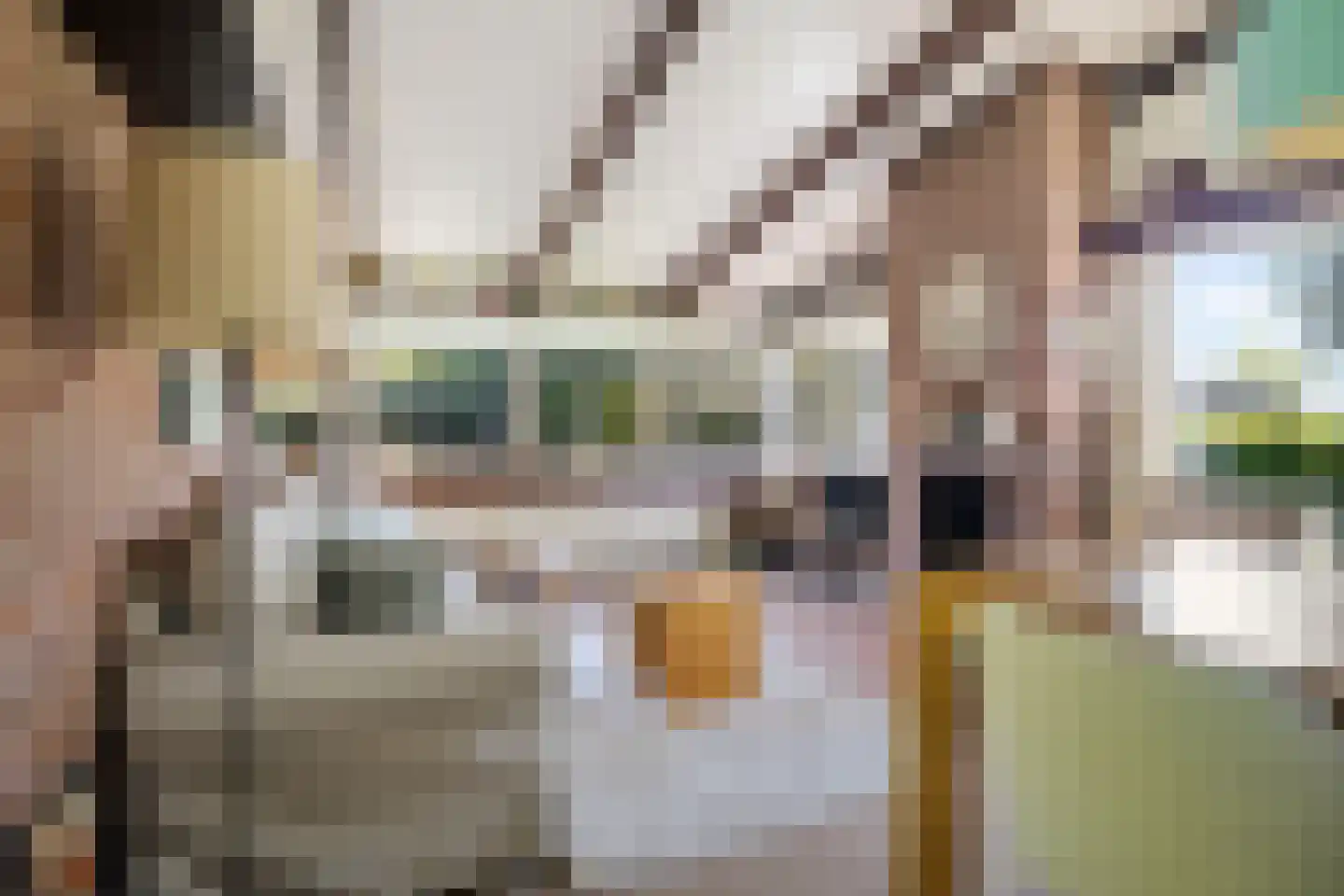 Raadhuisstraat 27 h68 Dirkshorn thumbnail 4