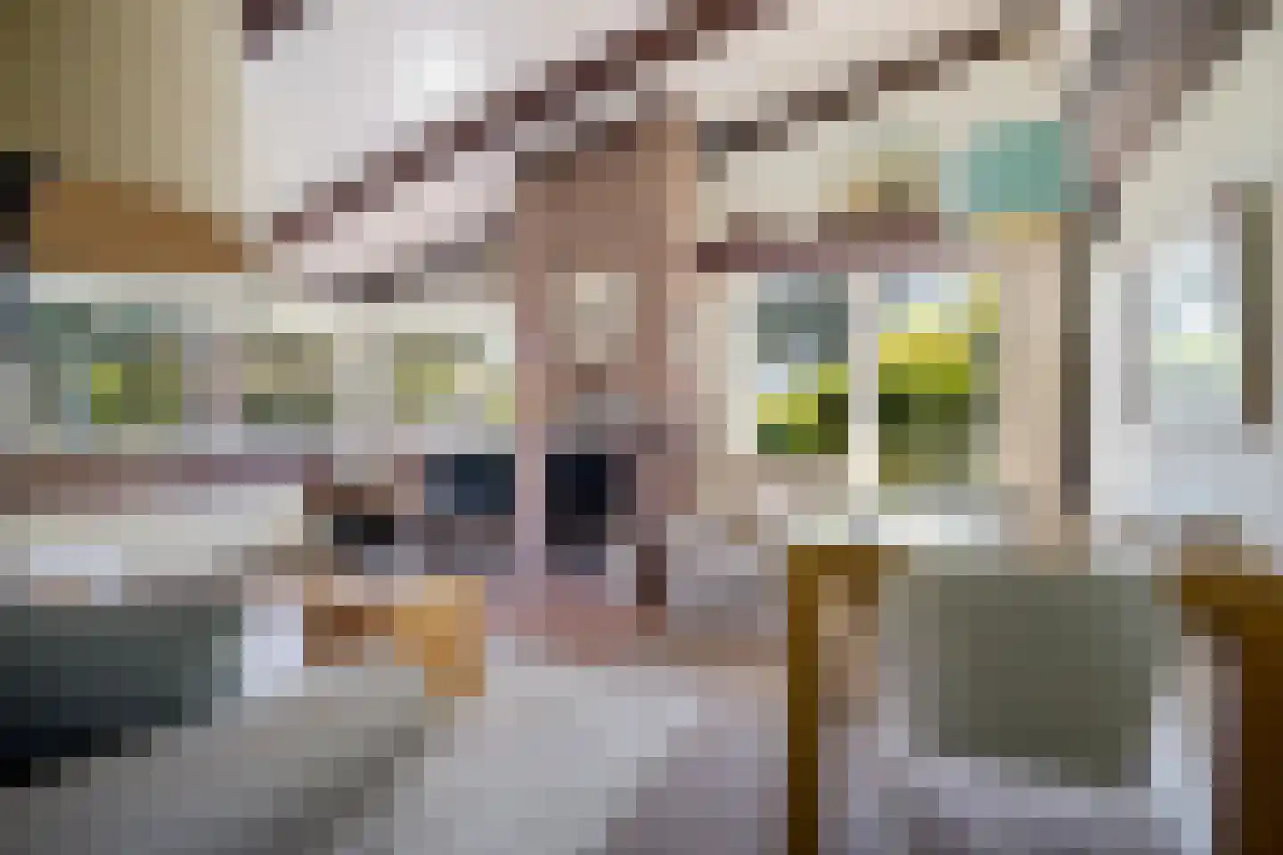Raadhuisstraat 27 h68 Dirkshorn thumbnail 5