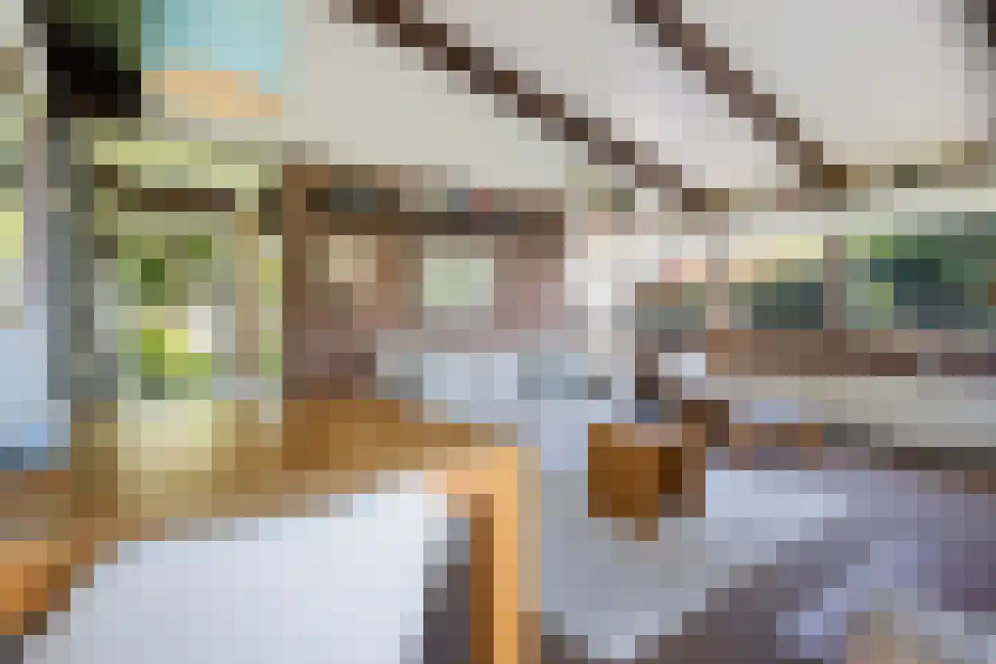 Raadhuisstraat 27 h68 Dirkshorn thumbnail 6