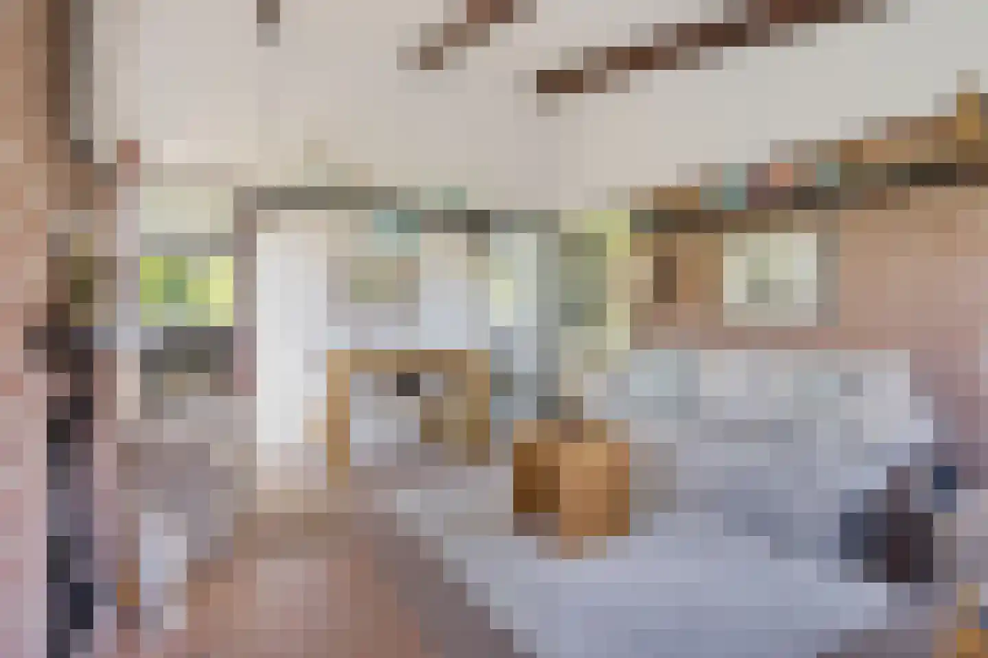 Raadhuisstraat 27 h68 Dirkshorn thumbnail 8